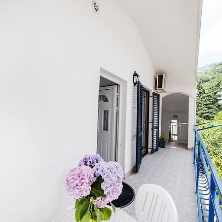 Apartments Vila Nikolic رفايلوفيتشي المظهر الخارجي الصورة